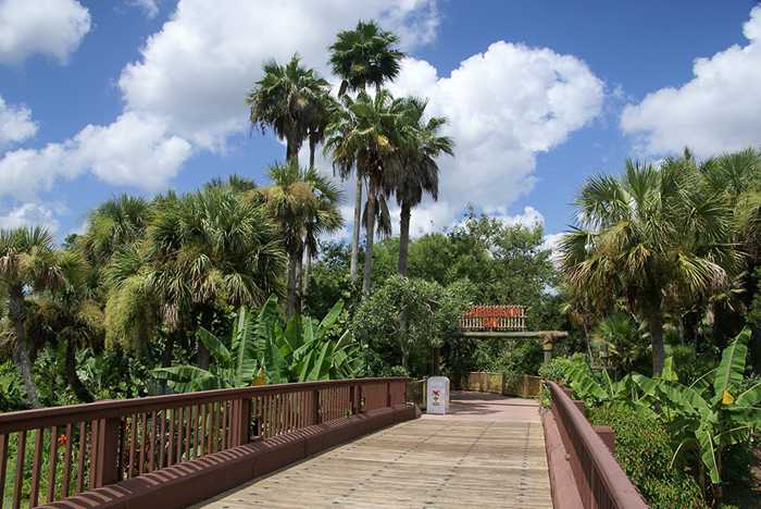 Disney S Caribbean Beach Resort