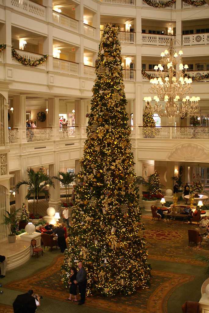 grand floridian holiday decorations 2008 photo 2 of 15 grand floridian holiday decorations 2008 photo 2 of 15
