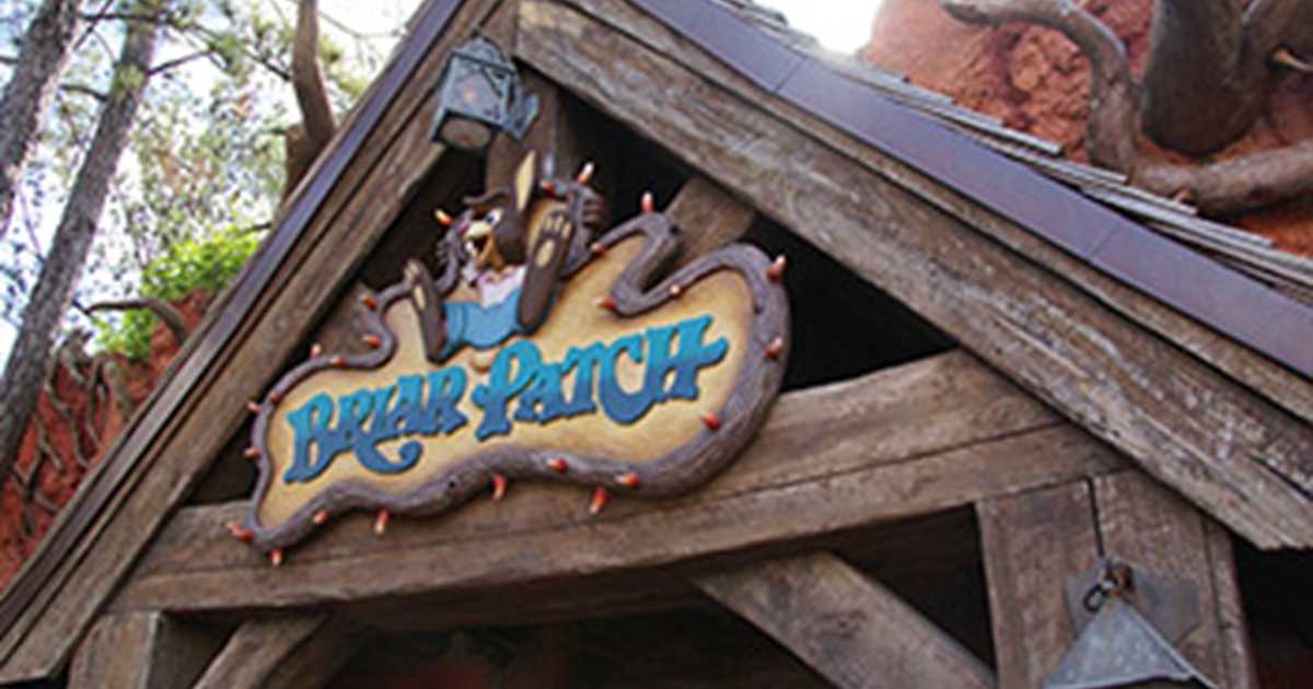Briar Patch Reviews